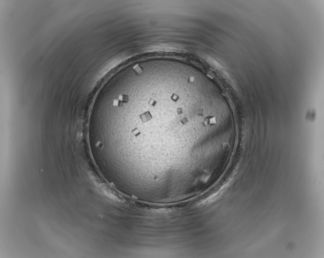 X0000091711017200709141115