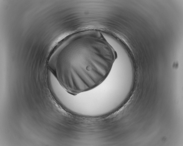 X0000091711018200709141115