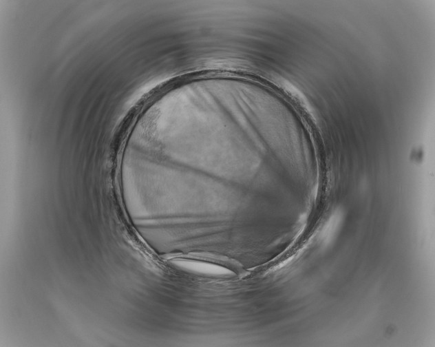 X0000091711019200709141115