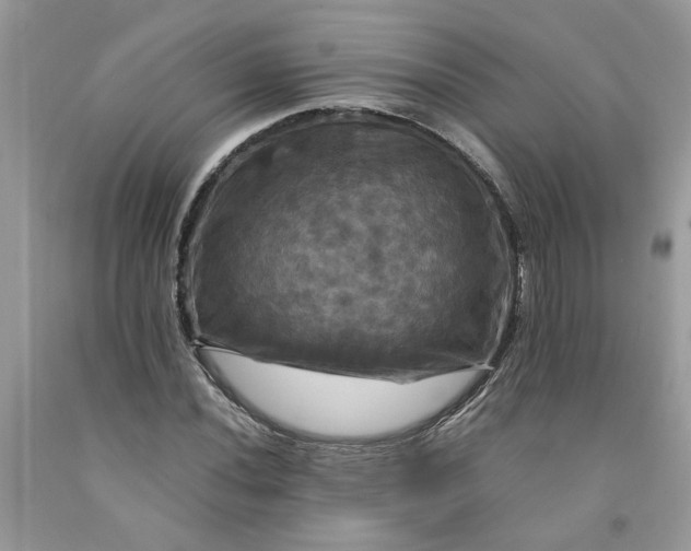 X0000091711020200709141115