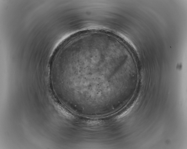 X0000091711021200709141115