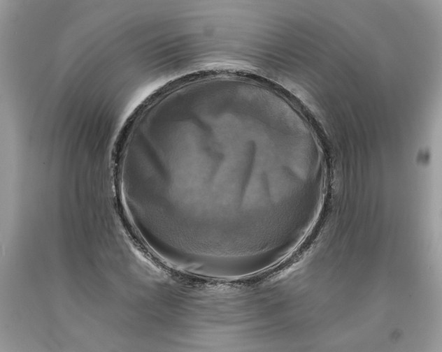 X0000091711022200709141115