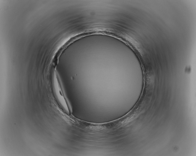 X0000091711023200709141115