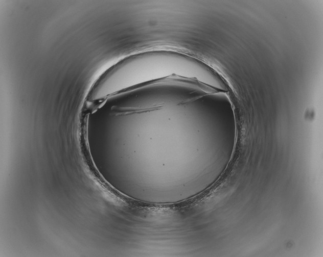 X0000091711024200709141115