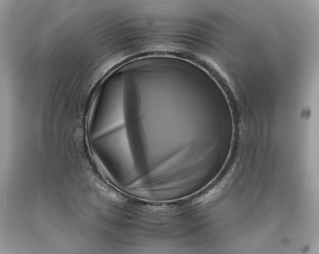 X0000091711025200709141115