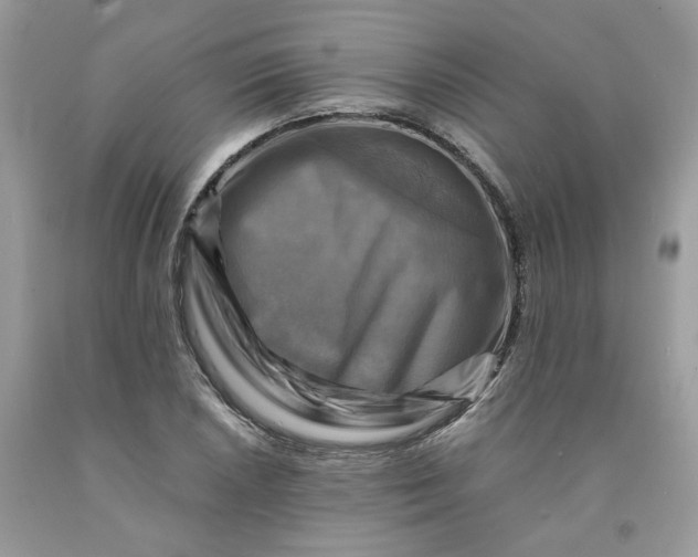 X0000091711026200709141115