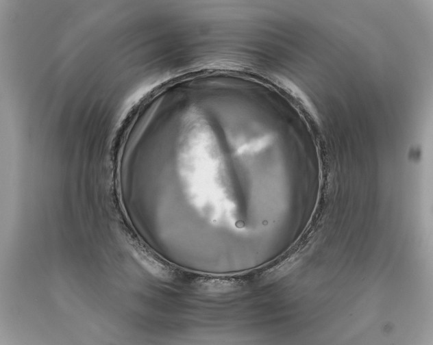 X0000091711027200709141115