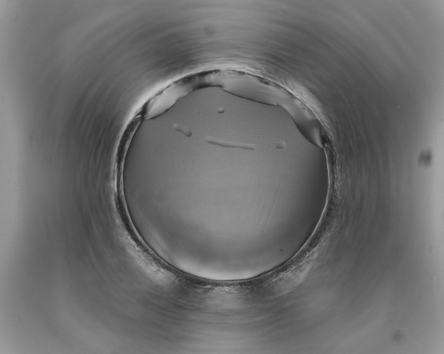 X0000091711028200709141115