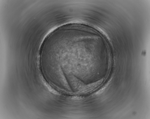 X0000091711029200709141115