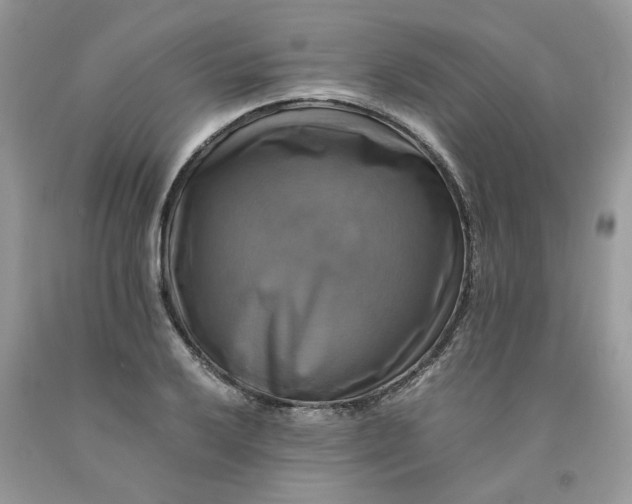 X0000091711032200709141116