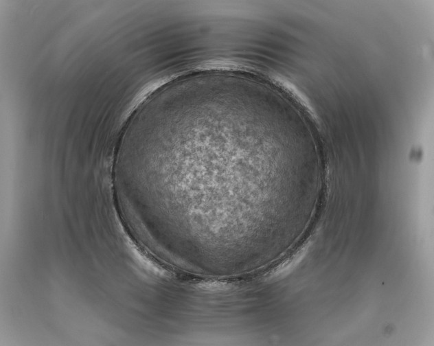 X0000091711033200709141116