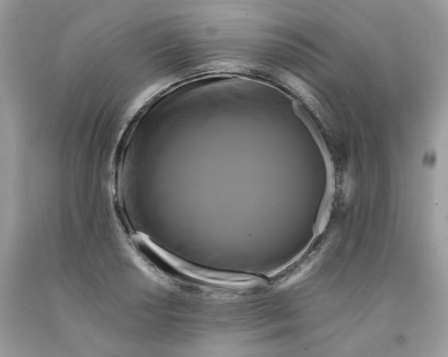 X0000091711034200709141116