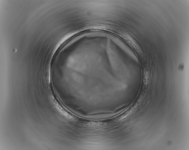 X0000091711036200709141116