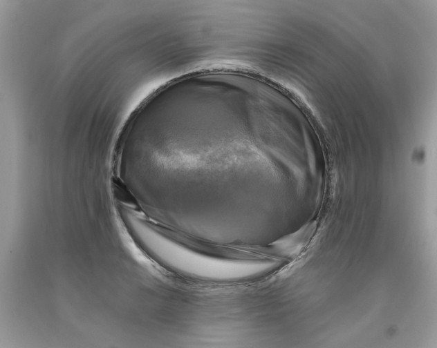 X0000091711038200709141116