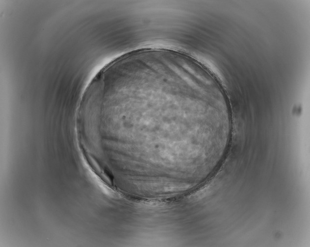 X0000091711040200709141116