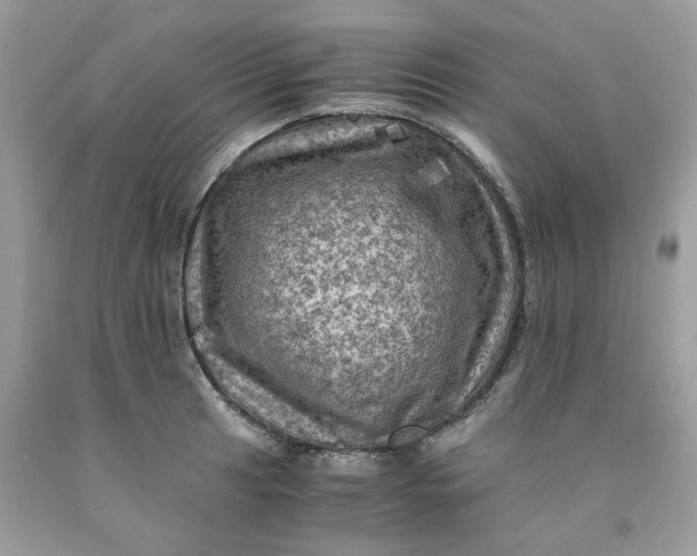 X0000091711041200709141116