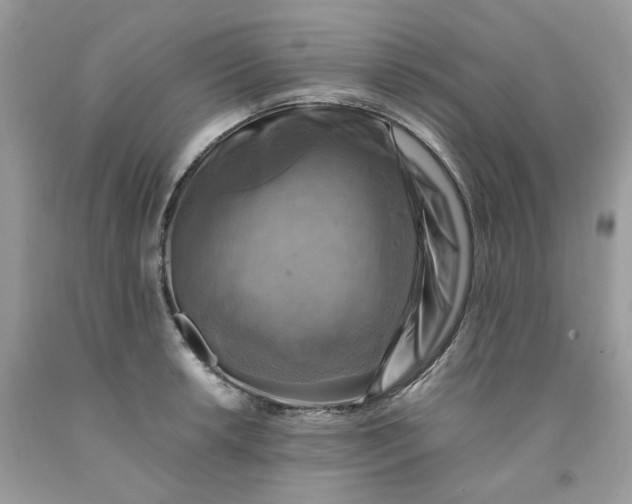 X0000091711042200709141116