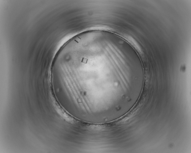 X0000091711044200709141116