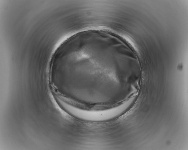 X0000091711046200709141116