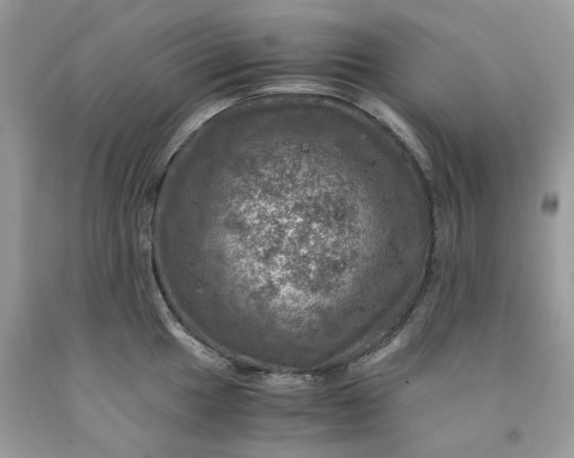 X0000091711049200709141116