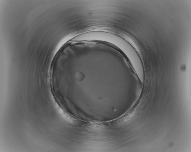 X0000091711050200709141116