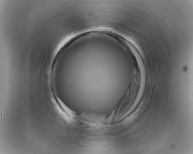 X0000091711054200709141116