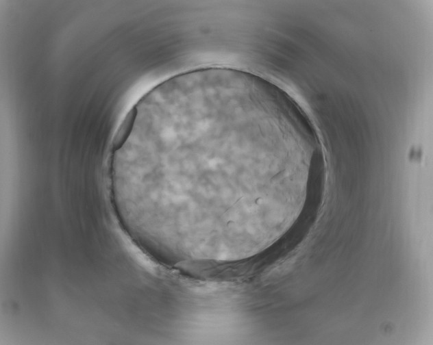 X0000091711056200709141116