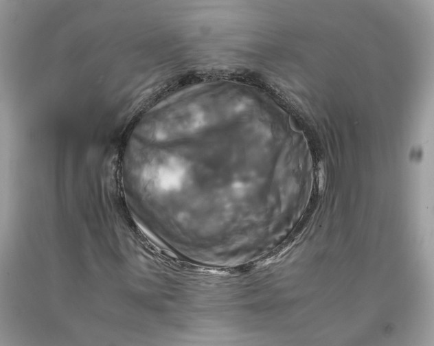 X0000091711059200709141115