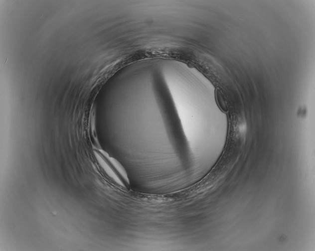 X0000091711060200709141115