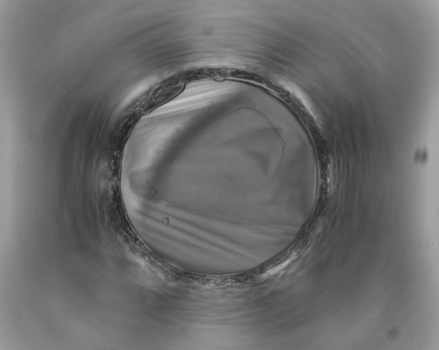 X0000091711064200709141115