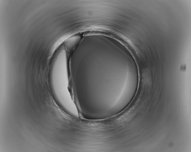 X0000091711066200709141115