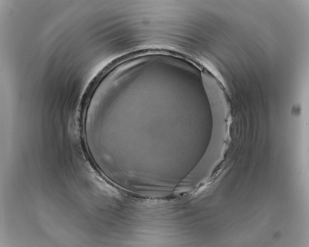 X0000091711068200709141115