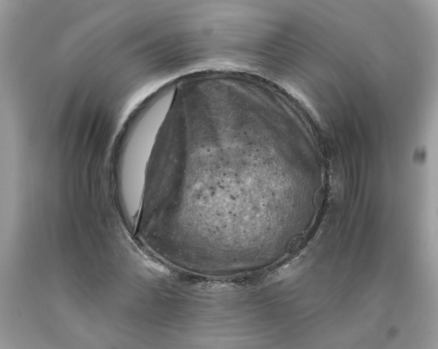 X0000091711070200709141115