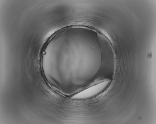 X0000091711071200709141115