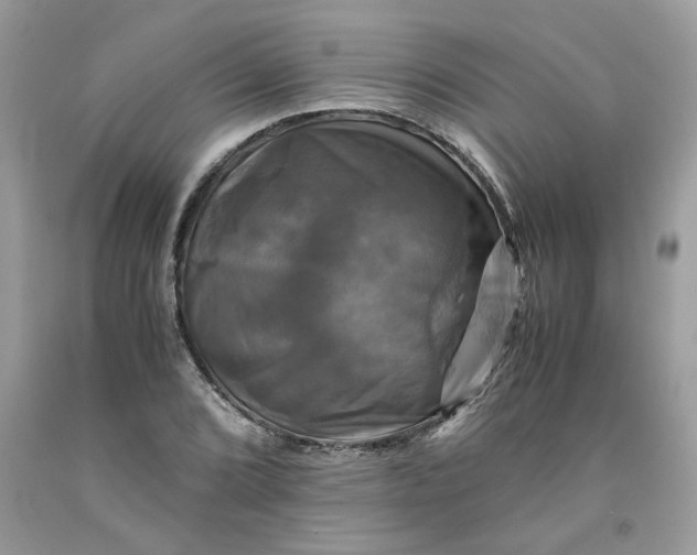 X0000091711072200709141115