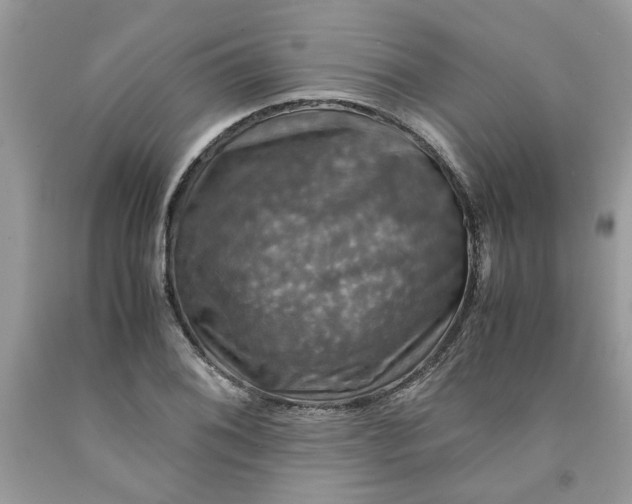 X0000091711076200709141115