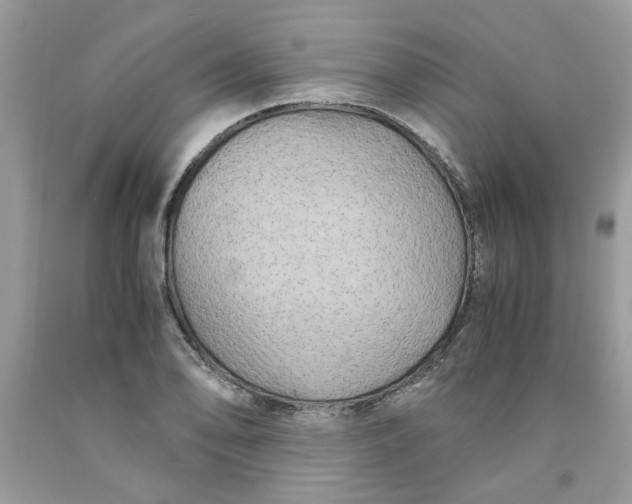 X0000091711078200709141115