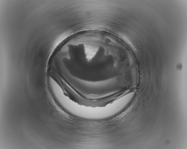 X0000091711079200709141115