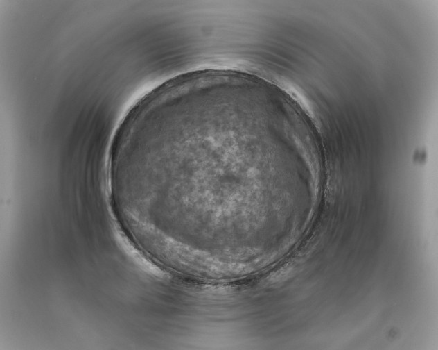 X0000091711080200709141115