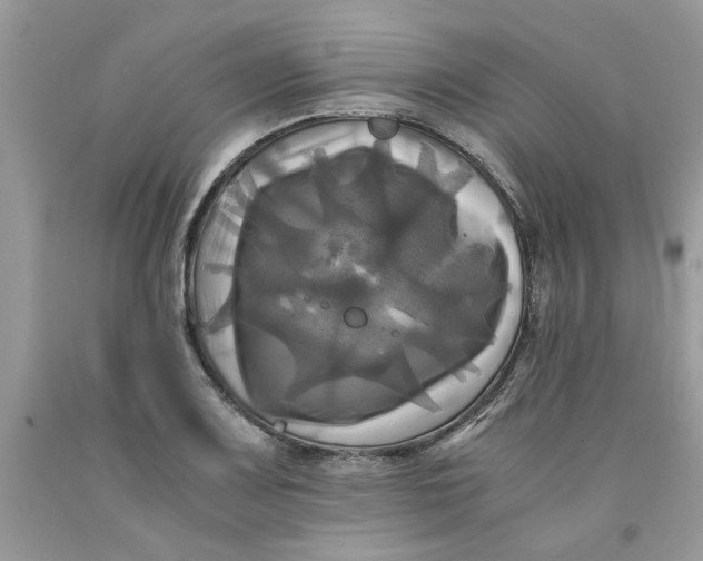 X0000091711083200709141115