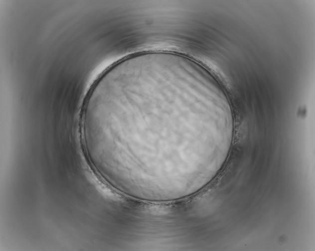 X0000091711086200709141115