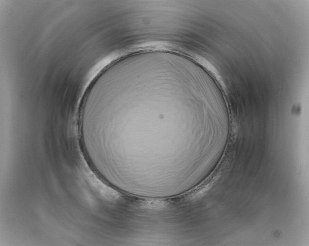 X0000091711090200709141115