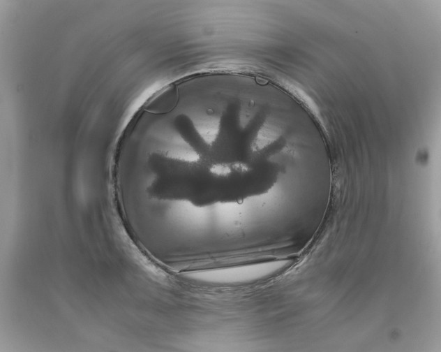 X0000091711091200709141115