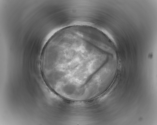 X0000091711094200709141115