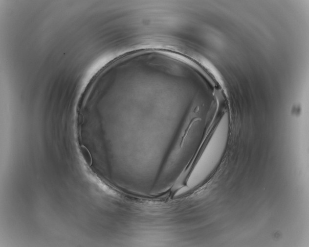 X0000091711096200709141115