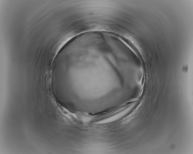 X0000091711097200709141115