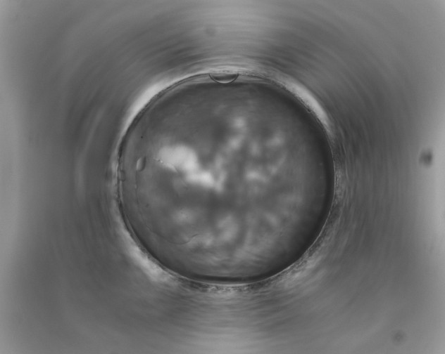 X0000091711099200709141115