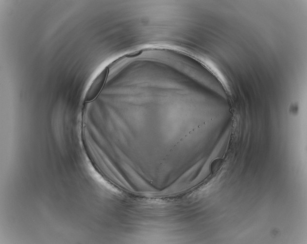 X0000091711100200709141115