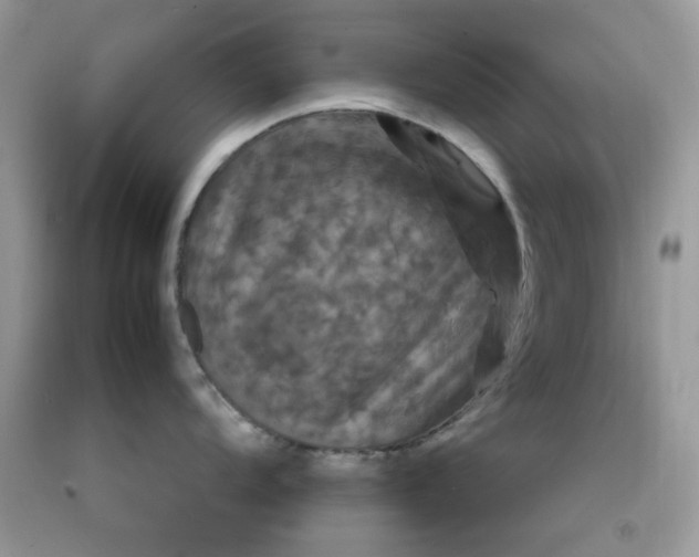 X0000091711104200709141115