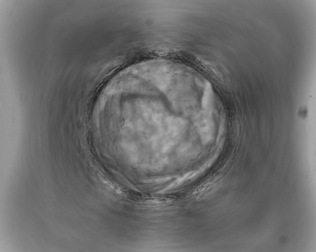 X0000091711105200709141114